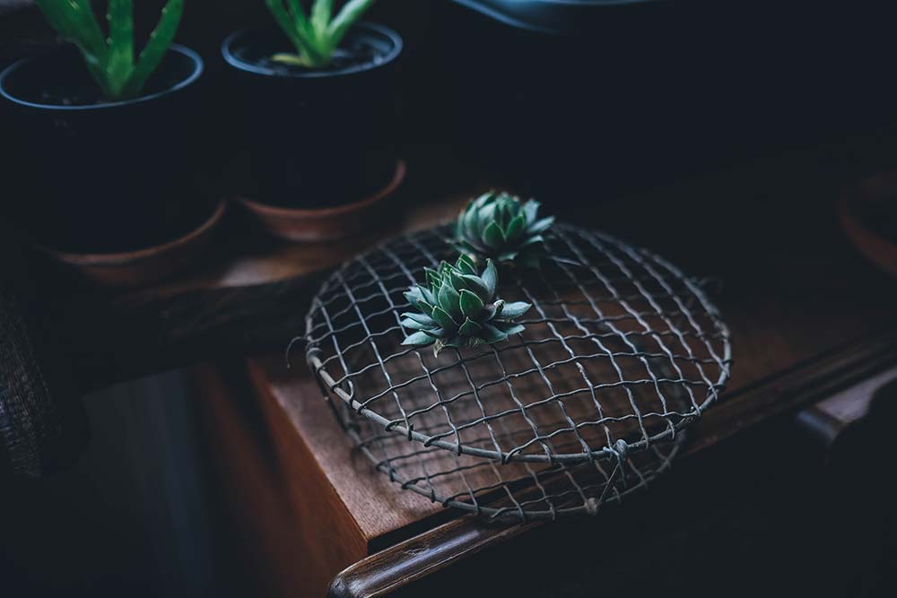 blog-19